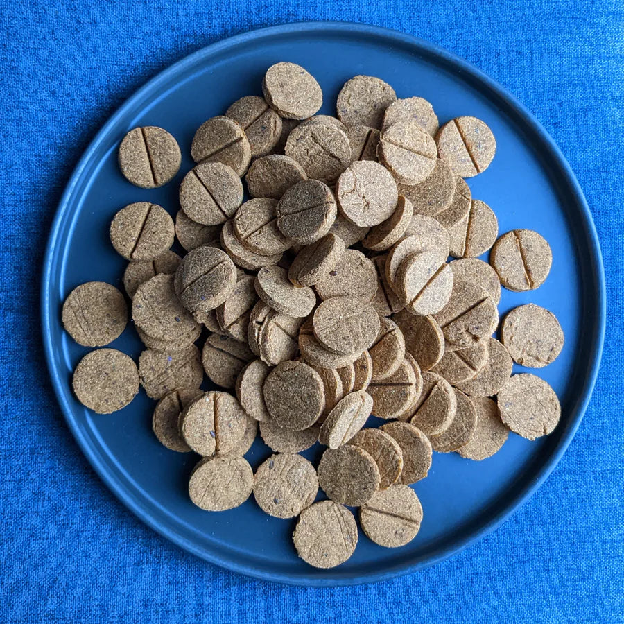 Chester's Peanut Butter & Ginger Dog Treats
