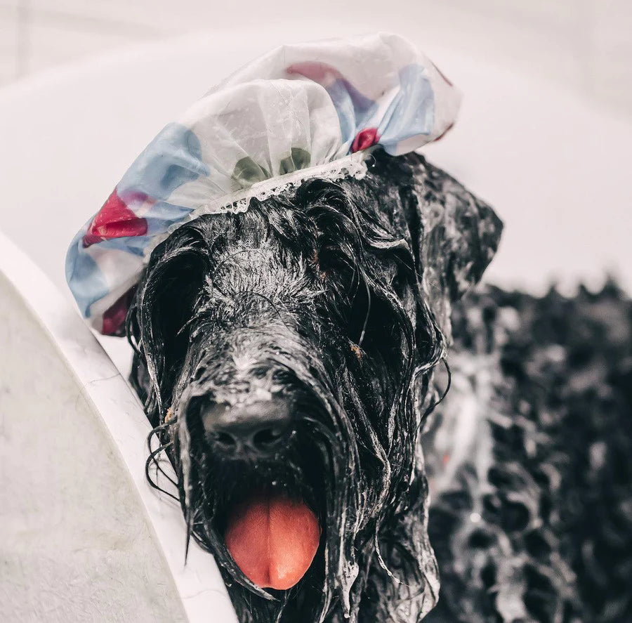 Chester's Care Charcoal & Oat Soap