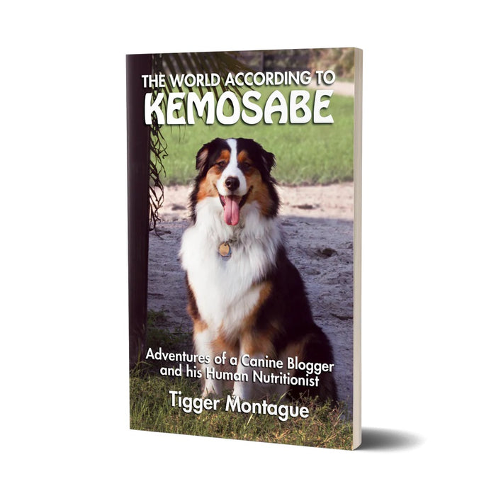 The World According to Kemosabe (BioStar)