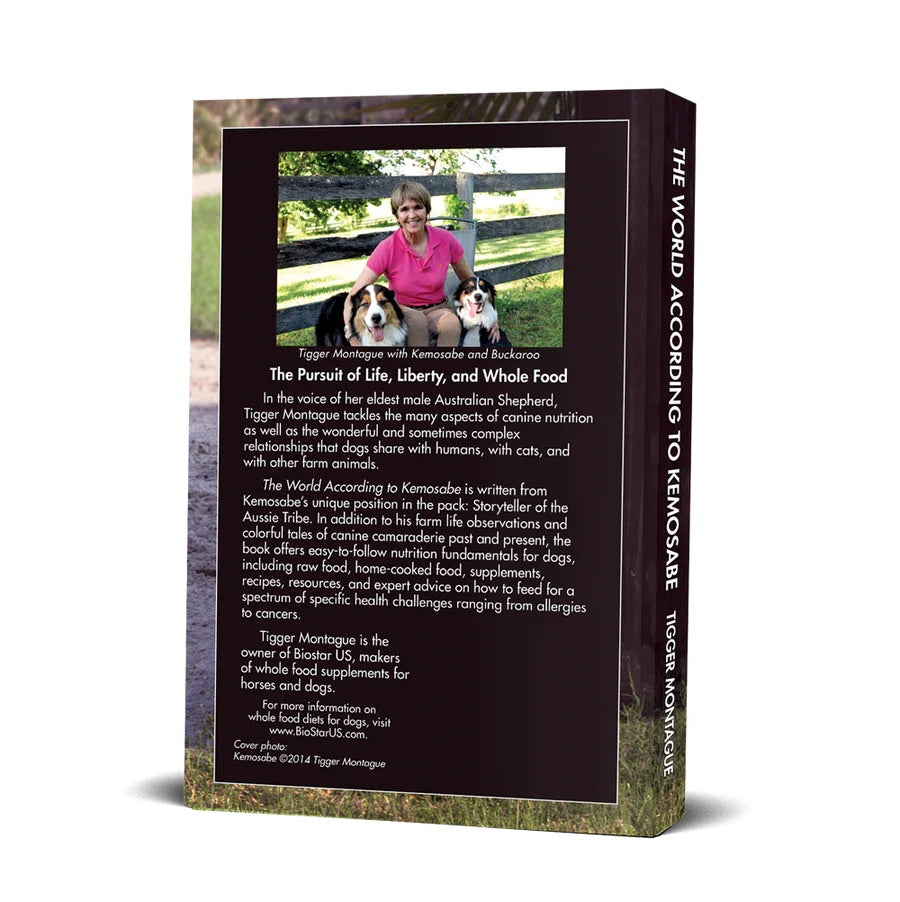 The World According to Kemosabe (BioStar)