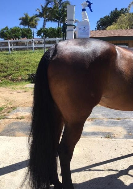 Green Horse Organics CPR Mane & Tail Detangler (24 oz Spray)