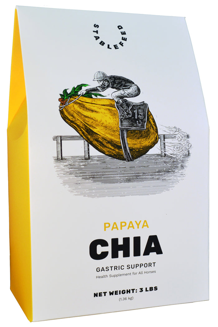 Papaya Chia Gastric Support by StableFeed